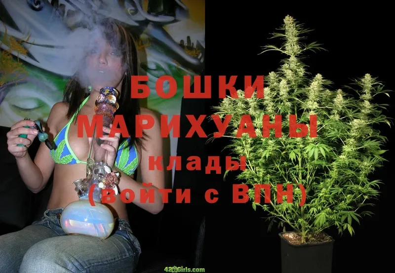 дарнет шоп  Ветлуга  Бошки Шишки White Widow 